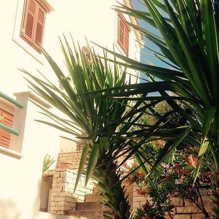 Apartment Belic Vinko- House