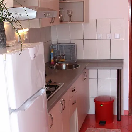 Apartment Belic Vinko- House
