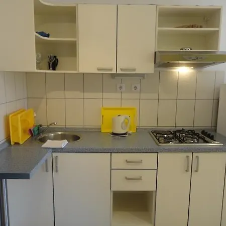 Apartment Belic Vinko- House *