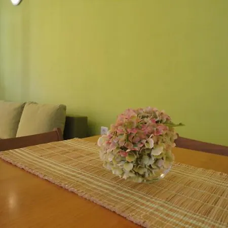 Apartment Belic Vinko- House *