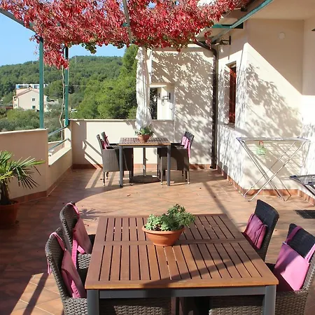 Apartment Belic Vinko- House