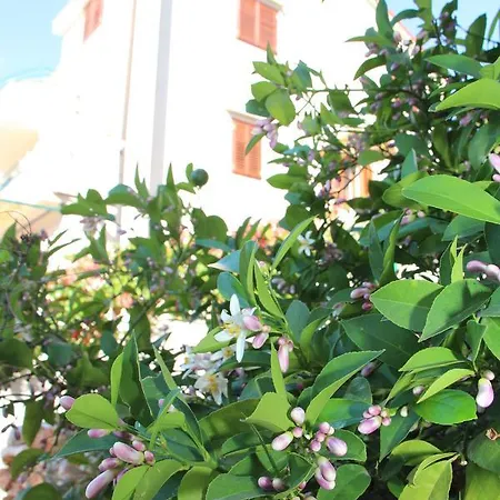 Belic Vinko- House Apartment Jelsa (Hvar)